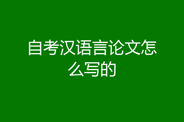 自考汉语言论文怎么写的
