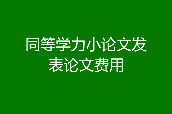 同等学力小论文发表论文费用