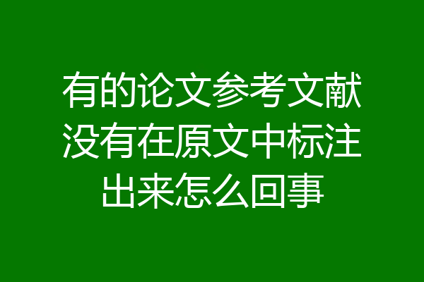有的论文参考文献没有在原文中标注出来怎么回事