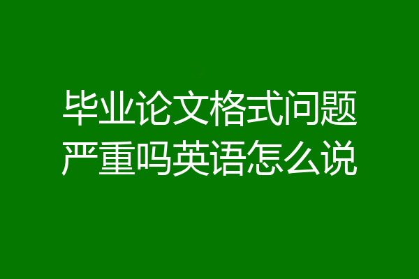毕业论文格式问题严重吗英语怎么说