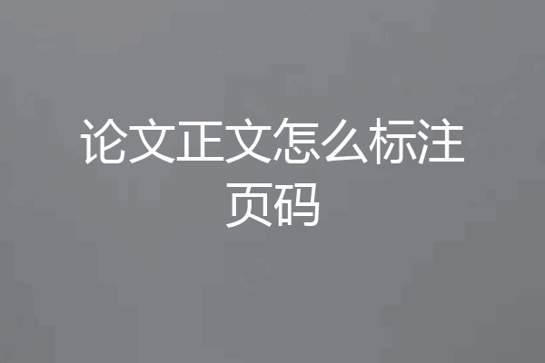 论文正文怎么标注页码