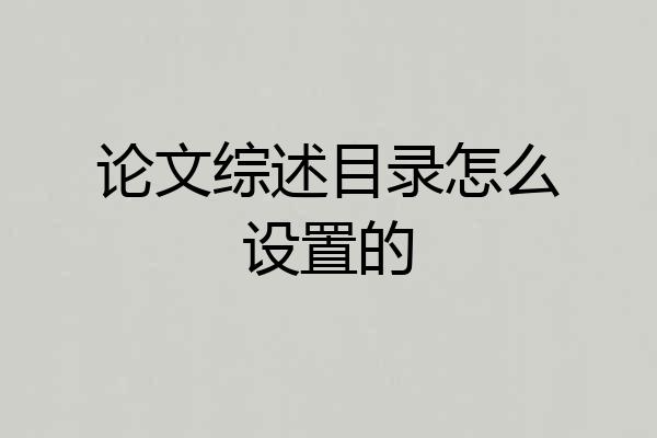 论文综述目录怎么设置的