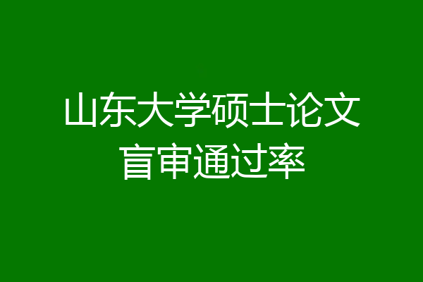 山东大学硕士论文盲审通过率