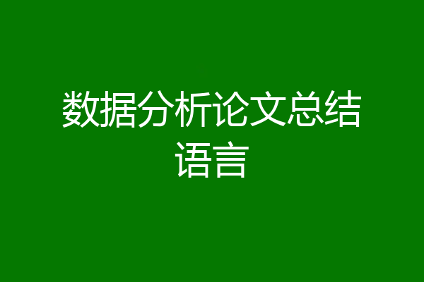 数据分析论文总结语言