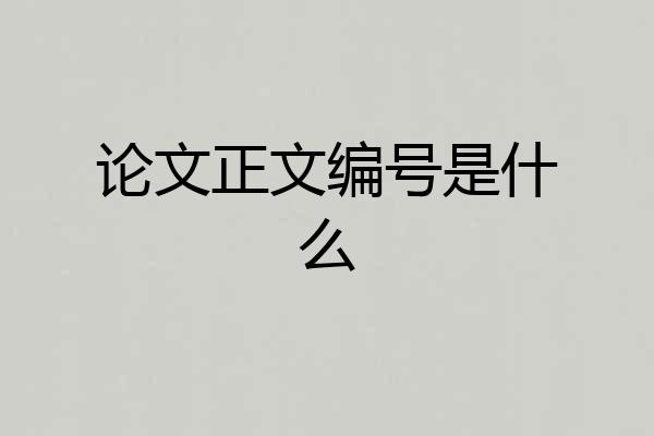 论文正文编号是什么