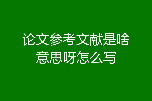 论文参考文献是啥意思呀怎么写
