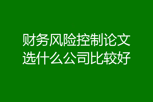 财务风险控制论文选什么公司比较好