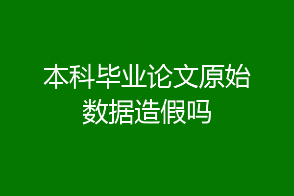 本科毕业论文原始数据造假吗