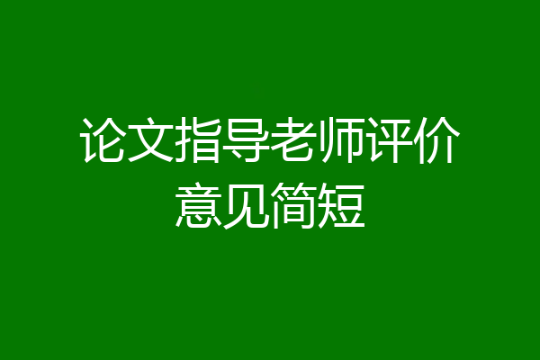 论文指导老师评价意见简短