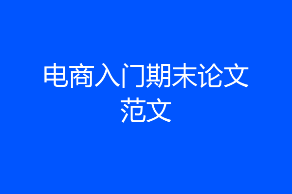 电商入门期末论文范文