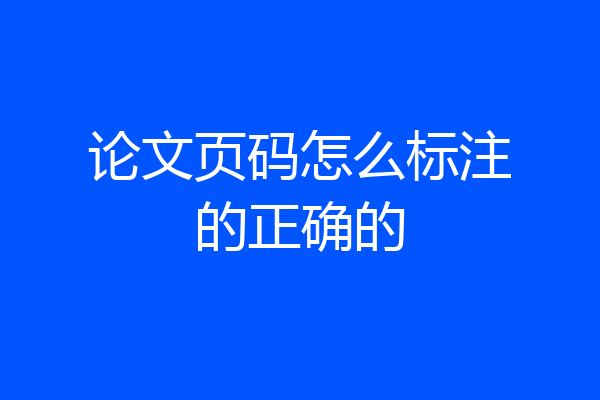 论文页码怎么标注的正确的