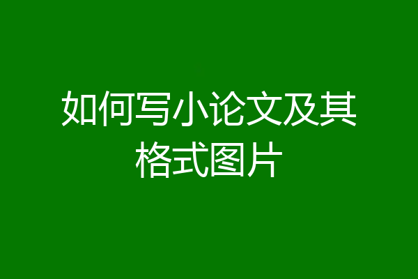 如何写小论文及其格式图片