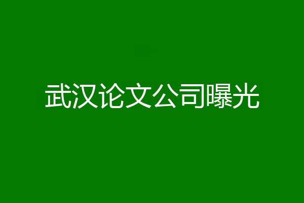 武汉论文公司曝光