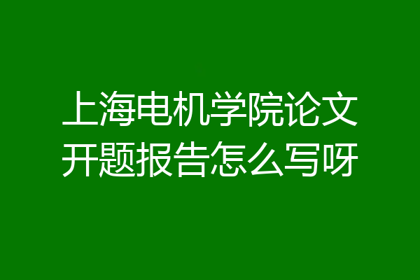 上海电机学院论文开题报告怎么写呀