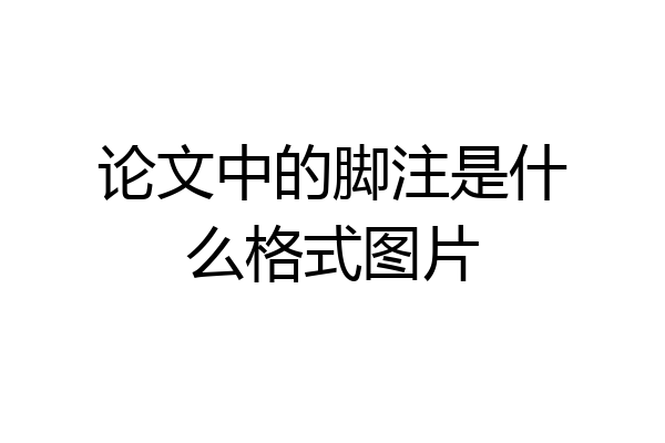 论文中的脚注是什么格式图片