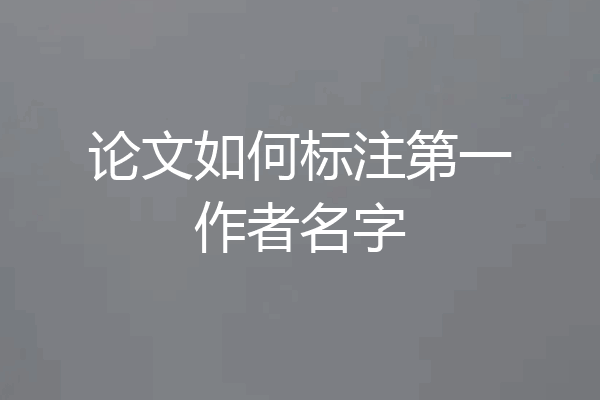论文如何标注第一作者名字