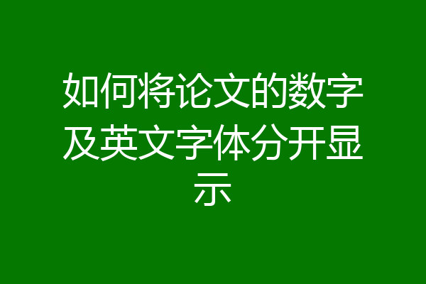 如何将论文的数字及英文字体分开显示