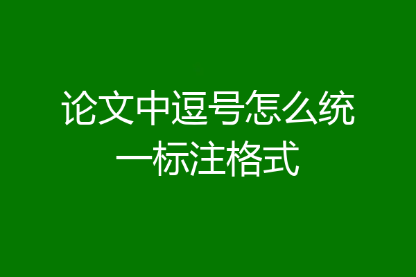 论文中逗号怎么统一标注格式