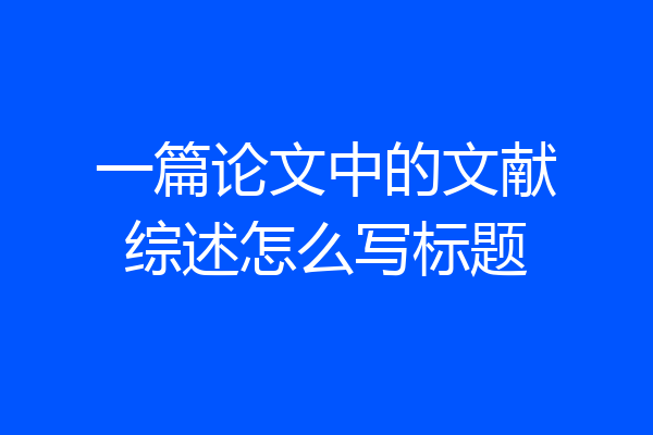 一篇论文中的文献综述怎么写标题