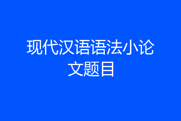 现代汉语语法小论文题目