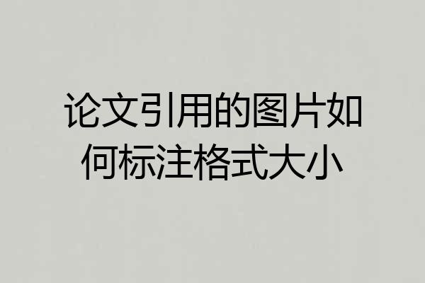 论文引用的图片如何标注格式大小