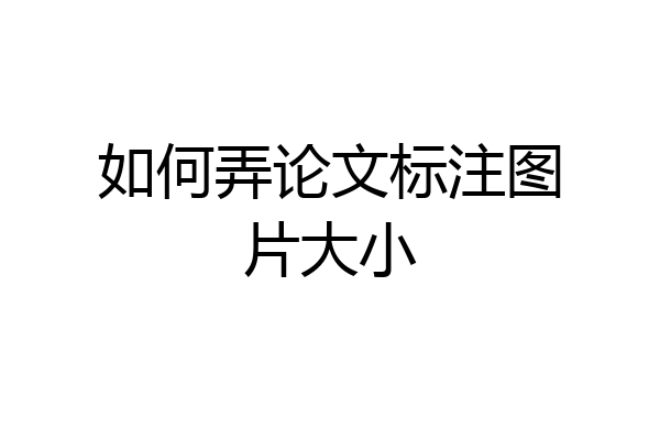 如何弄论文标注图片大小