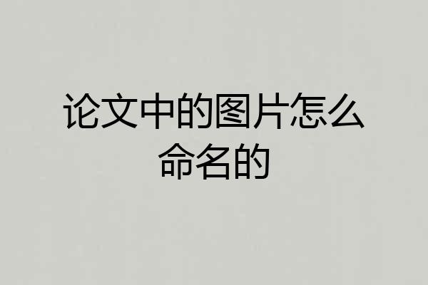 论文中的图片怎么命名的
