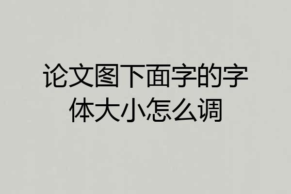 论文图下面字的字体大小怎么调
