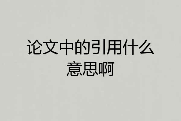 论文中的引用什么意思啊