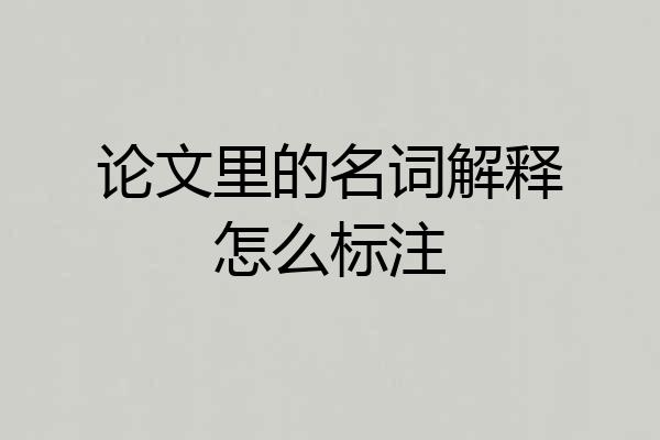 论文里的名词解释怎么标注