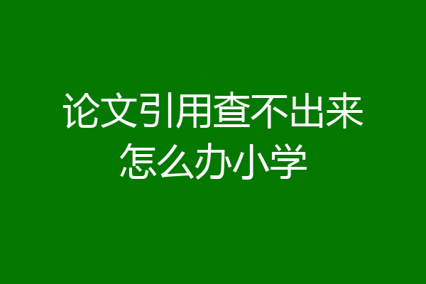 论文引用查不出来怎么办小学