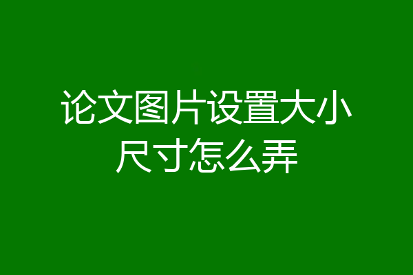论文图片设置大小尺寸怎么弄