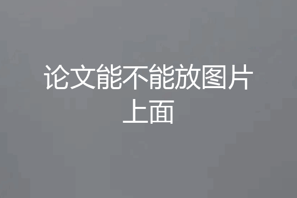 论文能不能放图片上面