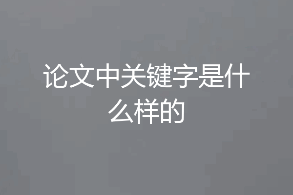 论文中关键字是什么样的