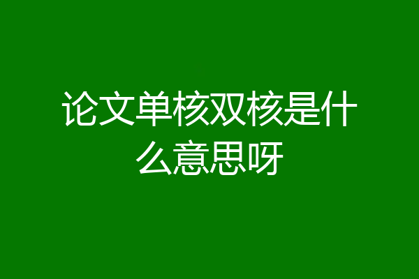 论文单核双核是什么意思呀
