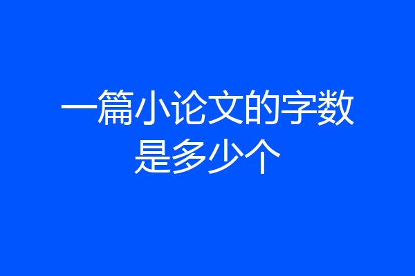 一篇小论文的字数是多少个