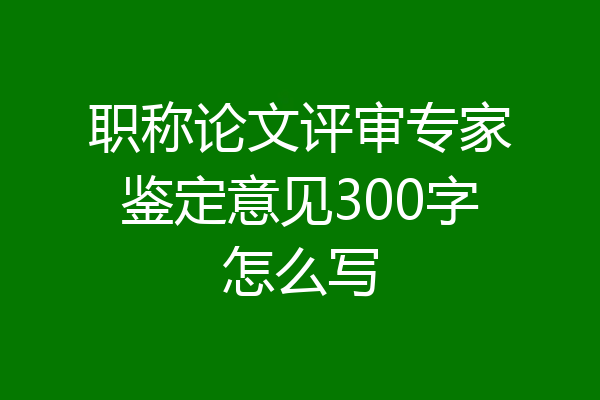 职称论文评审专家鉴定意见300字怎么写