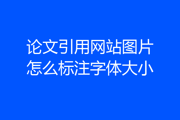 论文引用网站图片怎么标注字体大小