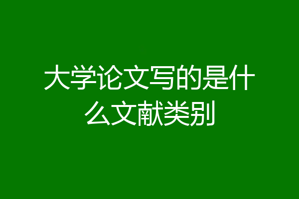大学论文写的是什么文献类别