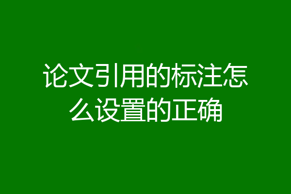 论文引用的标注怎么设置的正确