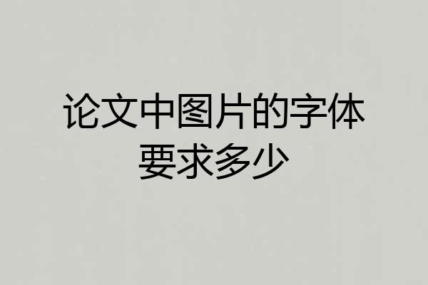论文中图片的字体要求多少