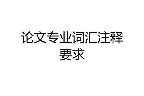 论文专业词汇注释要求