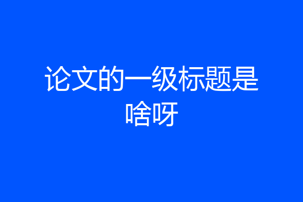 论文的一级标题是啥呀
