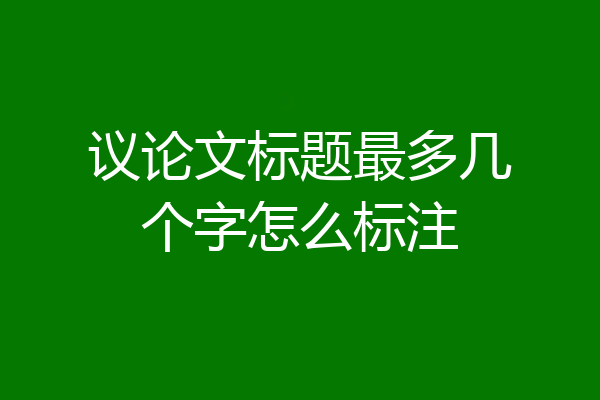 议论文标题最多几个字怎么标注