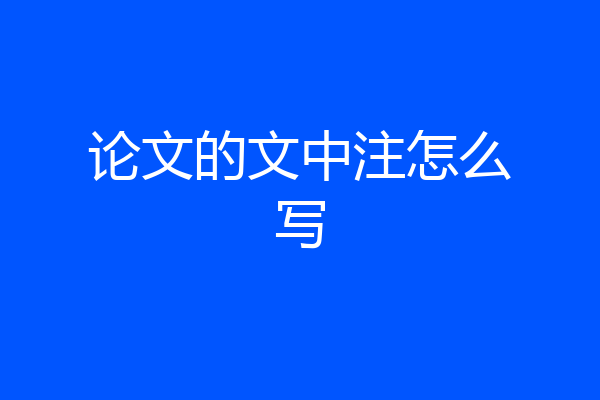 论文的文中注怎么写