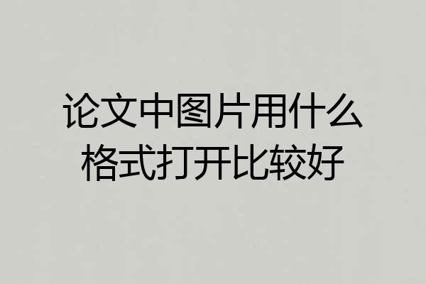 论文中图片用什么格式打开比较好