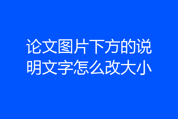 论文图片下方的说明文字怎么改大小