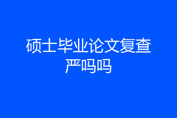 硕士毕业论文复查严吗吗