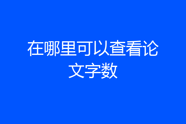在哪里可以查看论文字数