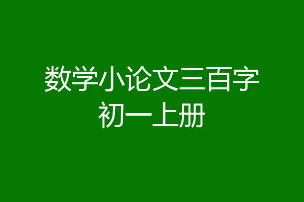 数学小论文三百字初一上册